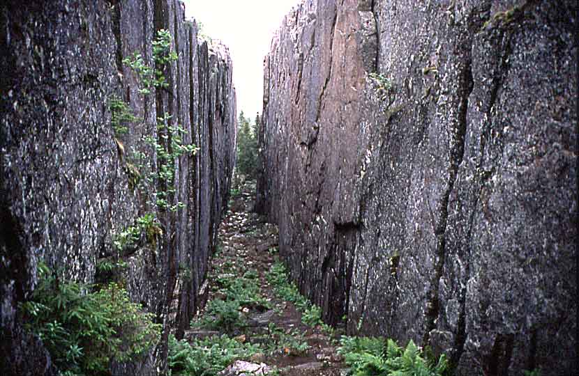 N1048 NP Skuleskogen