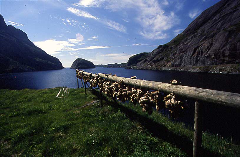N571 Lofoten Nusfjord